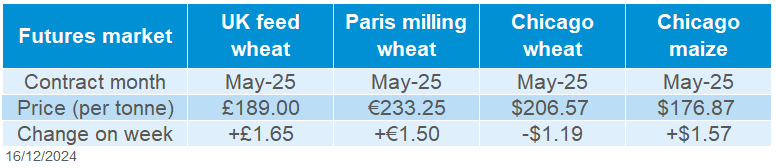 Global grain futures 16 12 202472